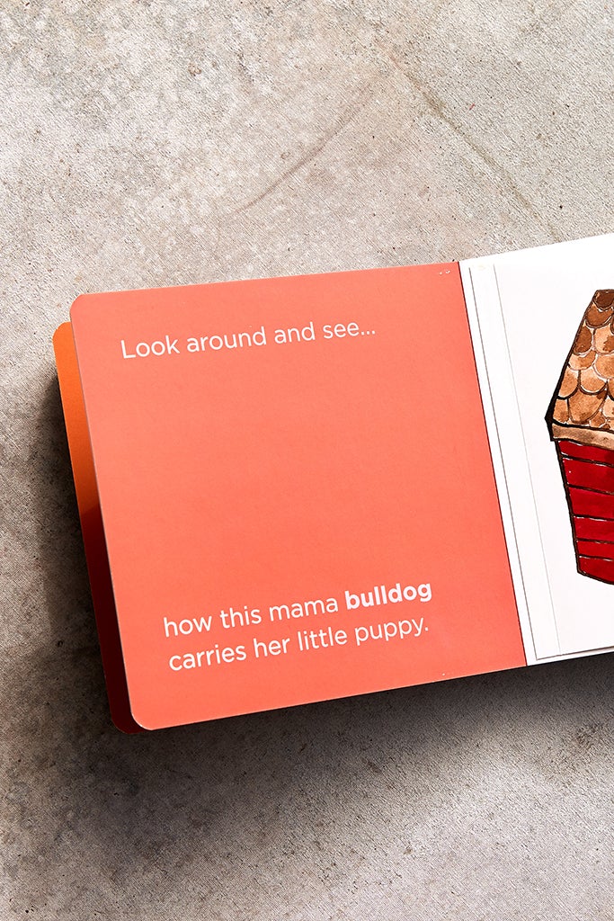 Carrying Baby Board Book